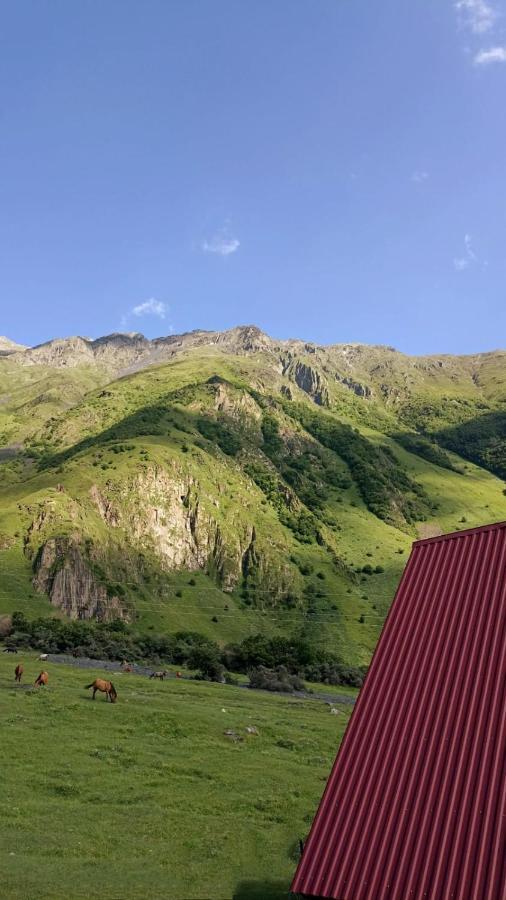 Mountain Flower Cottage Kazbegi Kültér fotó