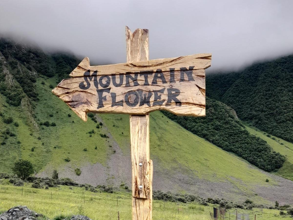 Mountain Flower Cottage Kazbegi Kültér fotó