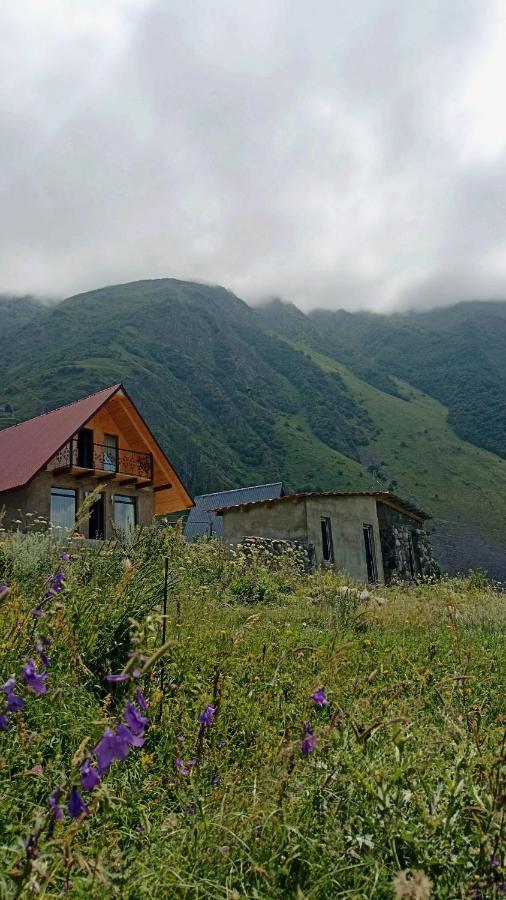 Mountain Flower Cottage Kazbegi Kültér fotó